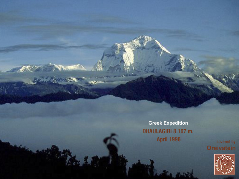 or dhaula